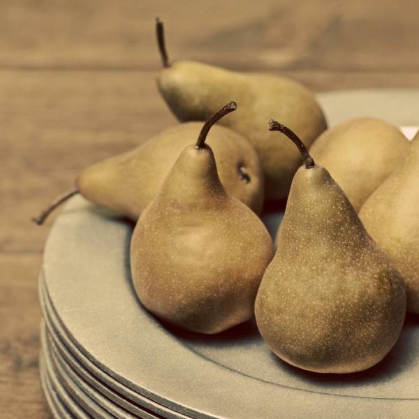 Photograph Natasha Nicholson Natnic_pears on One Eyeland